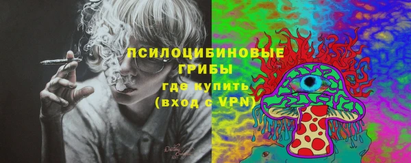 ALPHA PVP Алексеевка