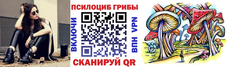 Галлюциногенные грибы MAGIC MUSHROOMS  где купить   Балашов 